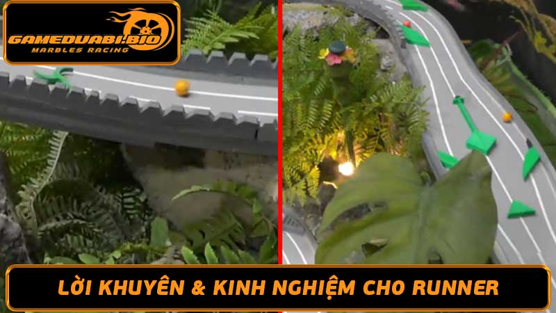 Đường đua Shrubland Run Giới Thiệu Đường Đua Nổi Tiếng Này