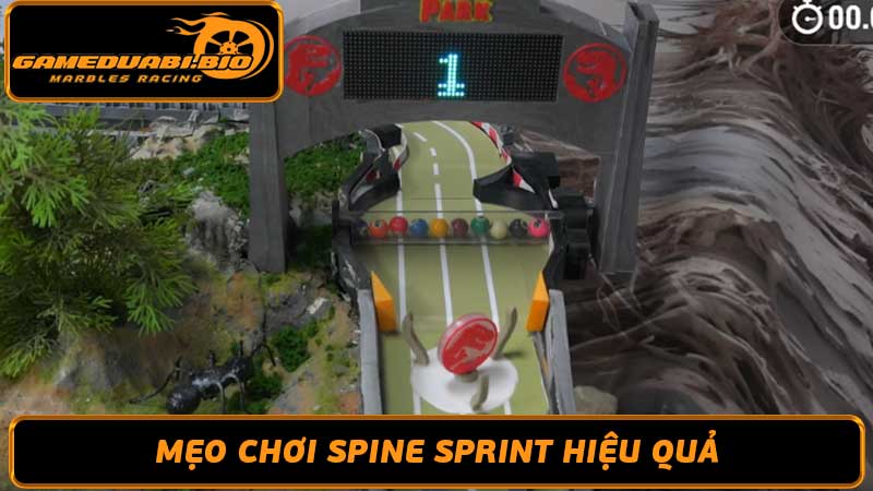 Khám phá Đường đua Spine Sprint Hướng dẫn và mẹo chơi