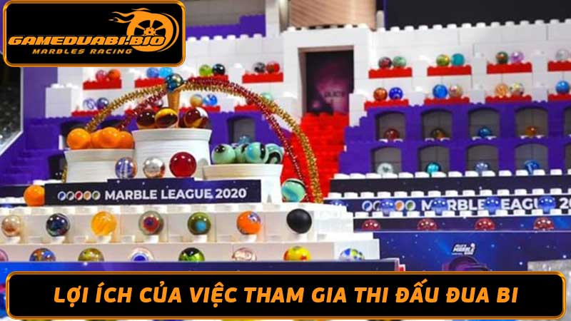 Thi Đấu Đua Bi Là Gì Giải Thích Chi Tiết Từ Cao Thủ