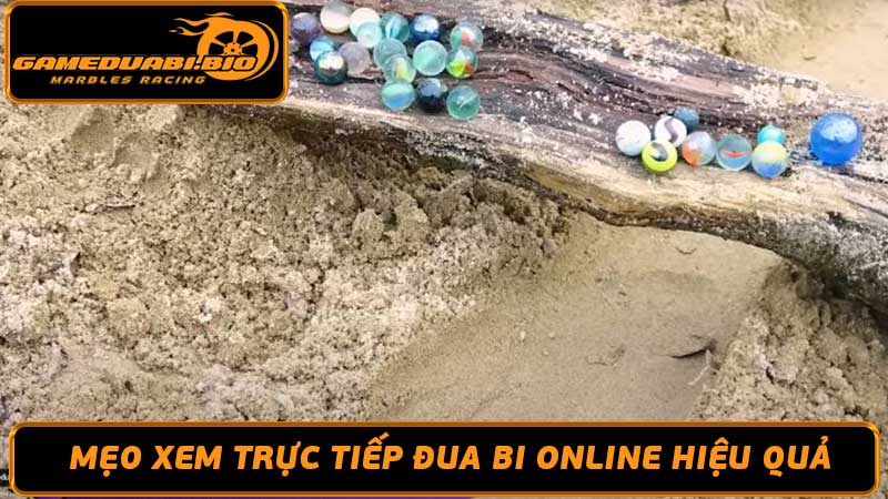 Trực Tiếp Đua Bi Xem Đua Bi Online Miễn Phí Tại Gameduabi